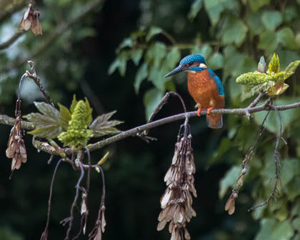 Images by Location
 Hero