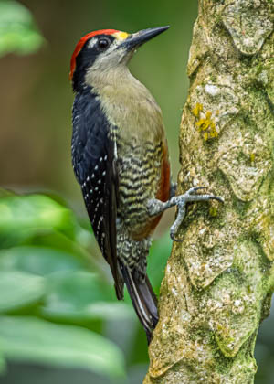 Images by Location
 Hero