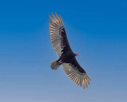 Images by Location
 Hero