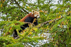 Images by Location
 Hero