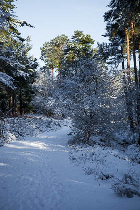 Images of Fauna
 Hero