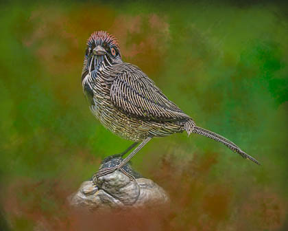 Creative Edits
 Hero