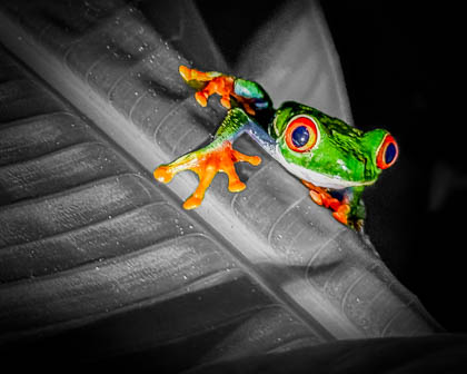 Creative Edits
 Hero